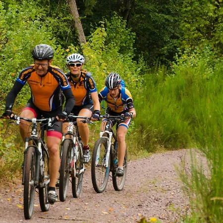 Vulkaneifel Σπίτι διακοπών *