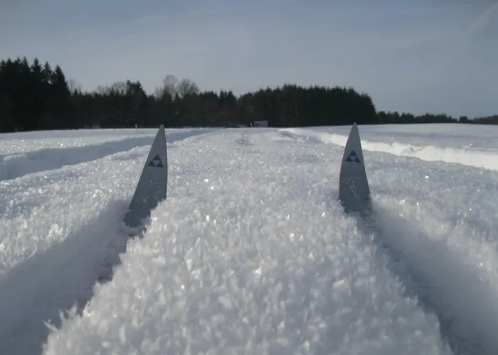 Dom wakacyjny Vulkaneifel Kopp